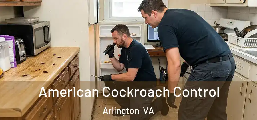  American Cockroach Control Arlington-VA