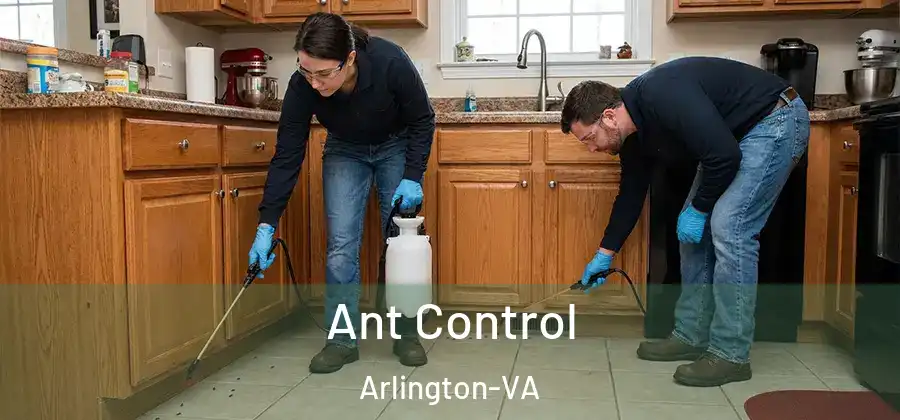  Ant Control Arlington-VA