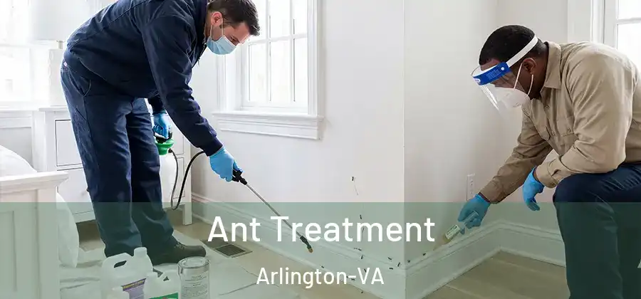  Ant Treatment Arlington-VA