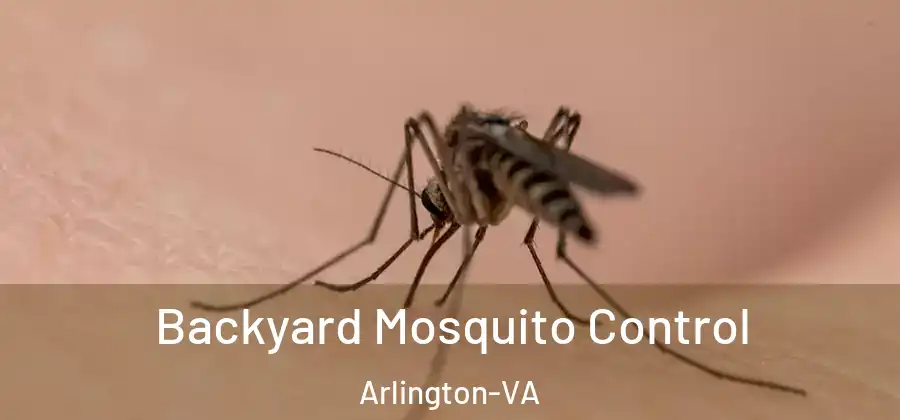  Backyard Mosquito Control Arlington-VA