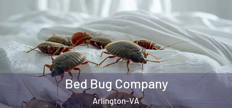  Bed Bug Company Arlington-VA