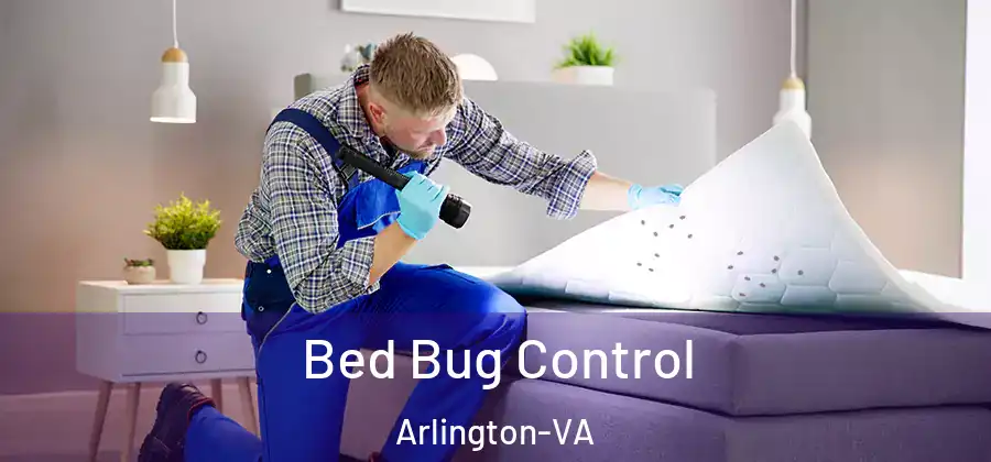  Bed Bug Control Arlington-VA