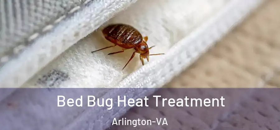  Bed Bug Heat Treatment Arlington-VA