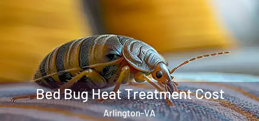  Bed Bug Heat Treatment Cost Arlington-VA
