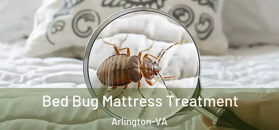  Bed Bug Mattress Treatment Arlington-VA