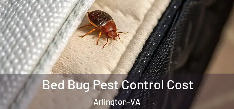  Bed Bug Pest Control Cost Arlington-VA