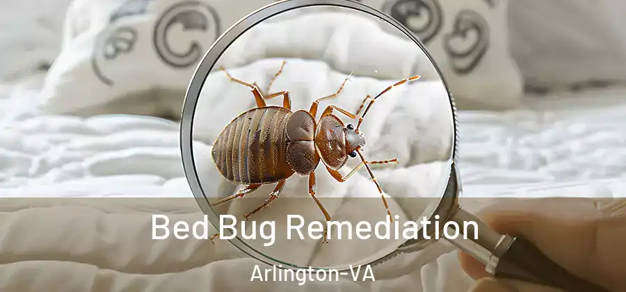  Bed Bug Remediation Arlington-VA