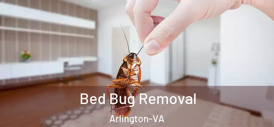  Bed Bug Removal Arlington-VA