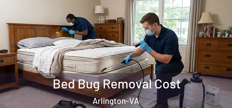  Bed Bug Removal Cost Arlington-VA