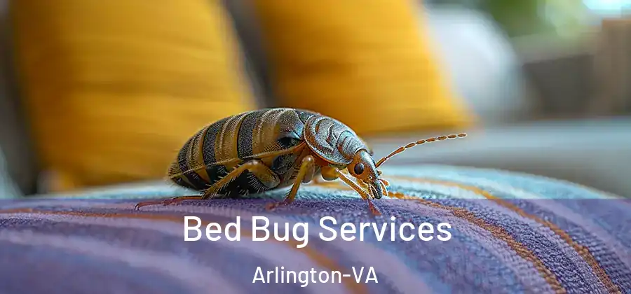  Bed Bug Services Arlington-VA