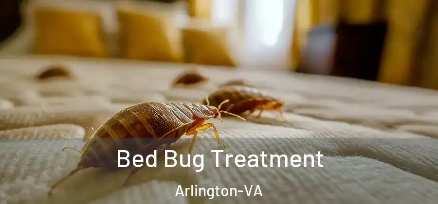  Bed Bug Treatment Arlington-VA