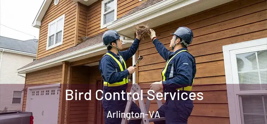  Bird Control Services Arlington-VA