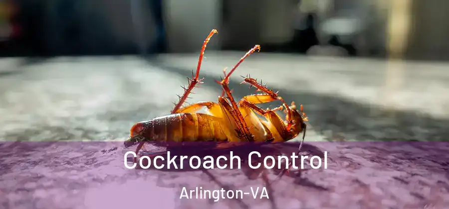  Cockroach Control Arlington-VA