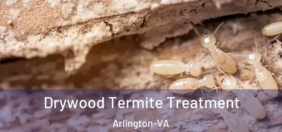  Drywood Termite Treatment Arlington-VA