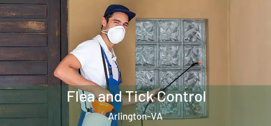  Flea and Tick Control Arlington-VA
