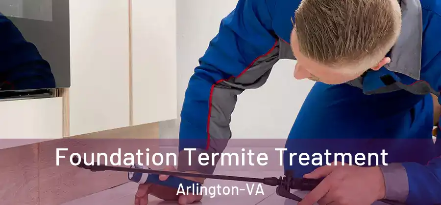  Foundation Termite Treatment Arlington-VA