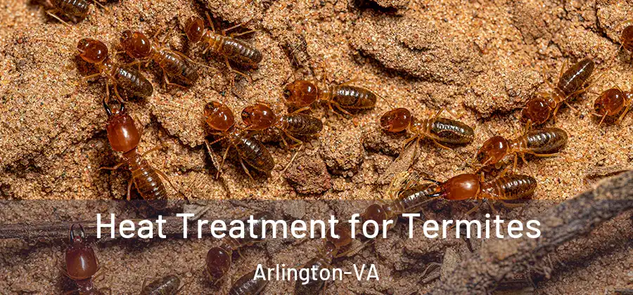  Heat Treatment for Termites Arlington-VA