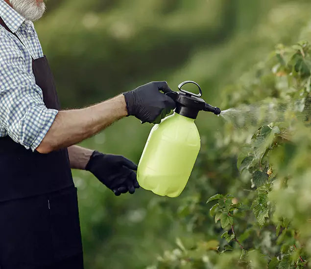 Your Proven Mosquito Treatment Company in Arlington, VA