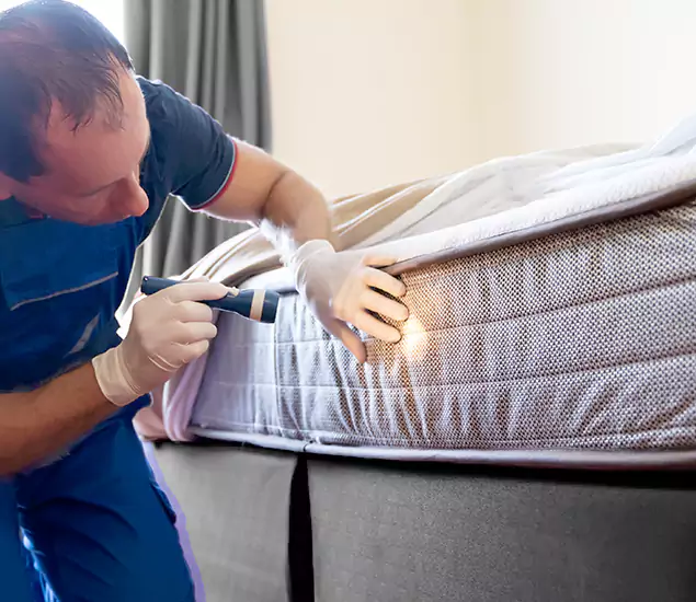 Trusted Bed Bug Cost Experts in Arlington, VA