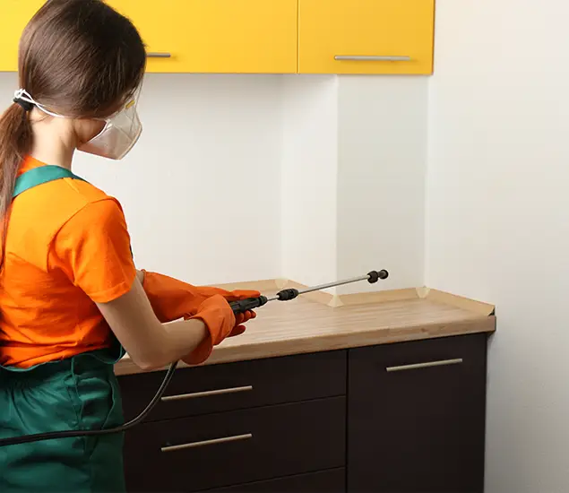 Trusted Bed Bug Pest Control Specialist in Arlington, VA
