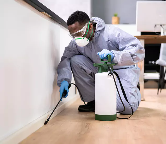 Leading Industrial Pest Control Experts Serving Arlington, VA