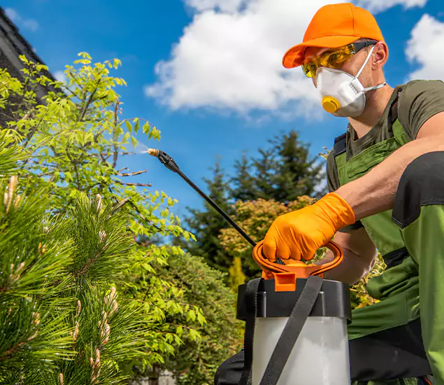 Your Mosquito Repellent Barrier Service in Arlington, VA