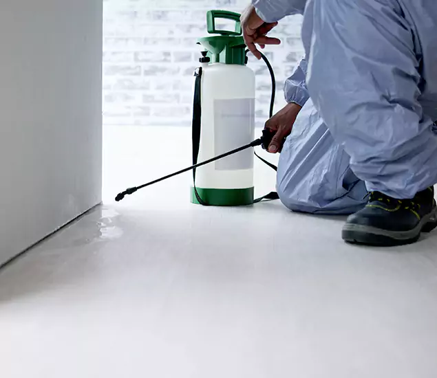 Affordable Pest Control Experts in Arlington, VA