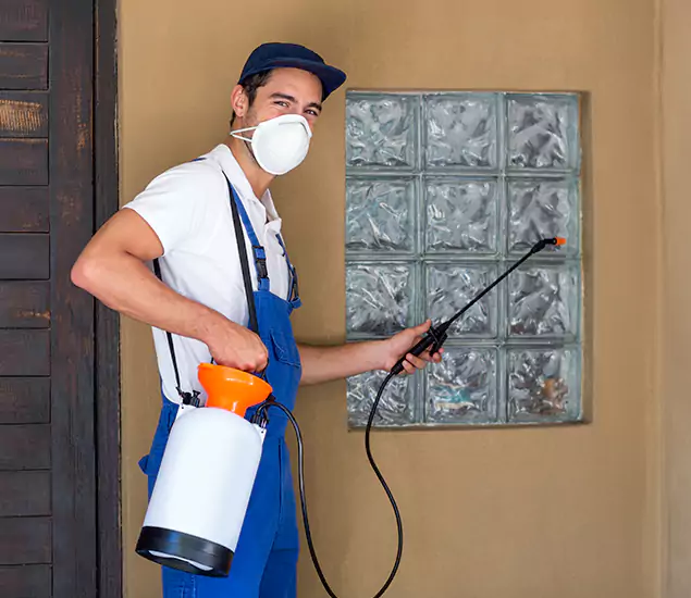 in Arlington, VA Advanced Outdoor Pest Control Solutions by Arlington Pest Control Pro