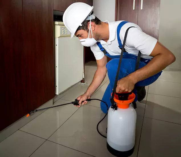 Advanced Termite Pre Treatment Experts in Arlington, VA