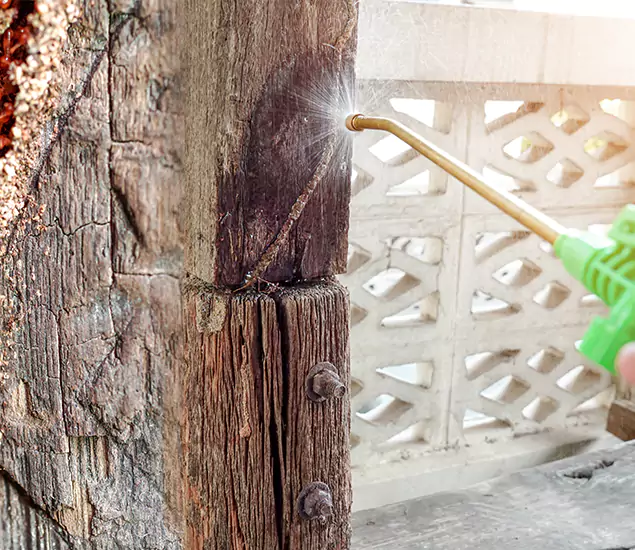 About Wood Termite Treatment Services in Arlington, VA
