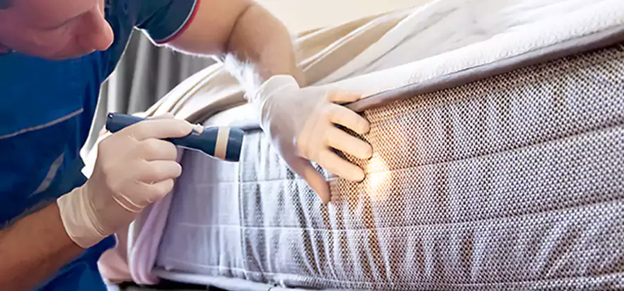 Residential Bed Bug Treatment Cost in Arlington