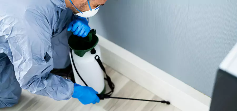 Fumigate Apartment Roaches in Arlington