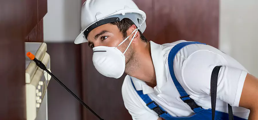 Injection Foam Treatment for Drywood Termites in Arlington