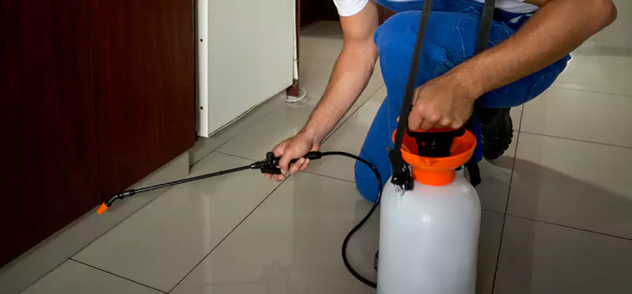 Indoor Mosquito Treatment in Arlington