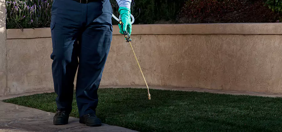 Soil Treatment for New Construction Termites in Arlington
