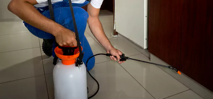 One Time Termite Control in Arlington