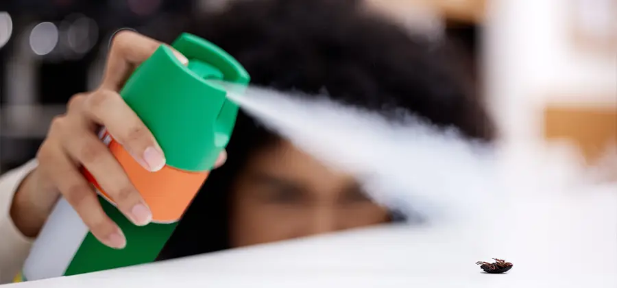 Child Safe Bed Bug Treatment in Arlington