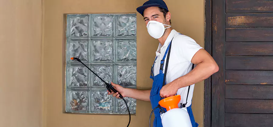 Physical Termite Barrier Installation in Arlington