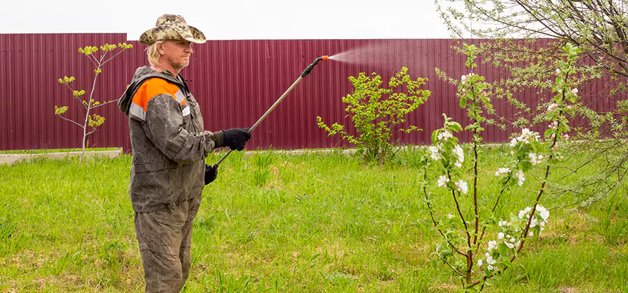 Flea and Tick Spray for Yard in Arlington