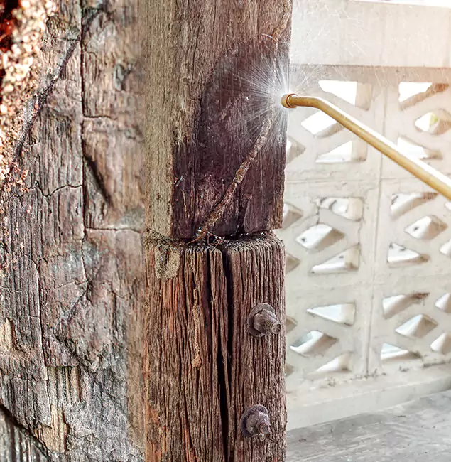 Why Choose Arlington Pest Control Pro for Attic Termite Treatment in Arlington, VA?