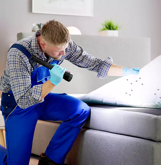 Why Choose Arlington Pest Control Pro For Bed Bug Heat Treatment in Arlington, VA?