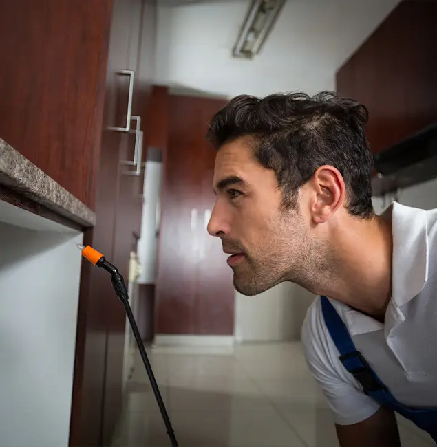 Why Choose Arlington Pest Control Pro for Bed Bug Removal Cost in Arlington, VA?