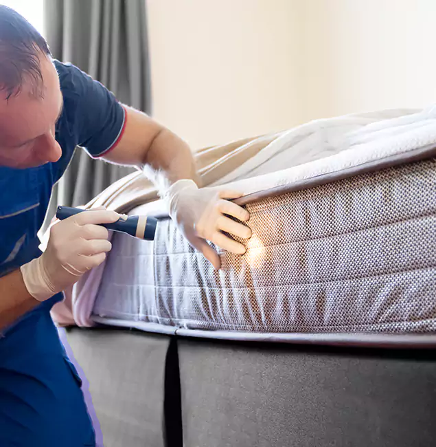 Why Choose Arlington Pest Control Pro for Bed Bug Services in Arlington, VA?