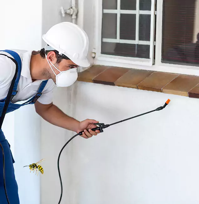 Why Arlington Property Owners Choose Arlington Pest Control Pro for Bee Nest Removal?