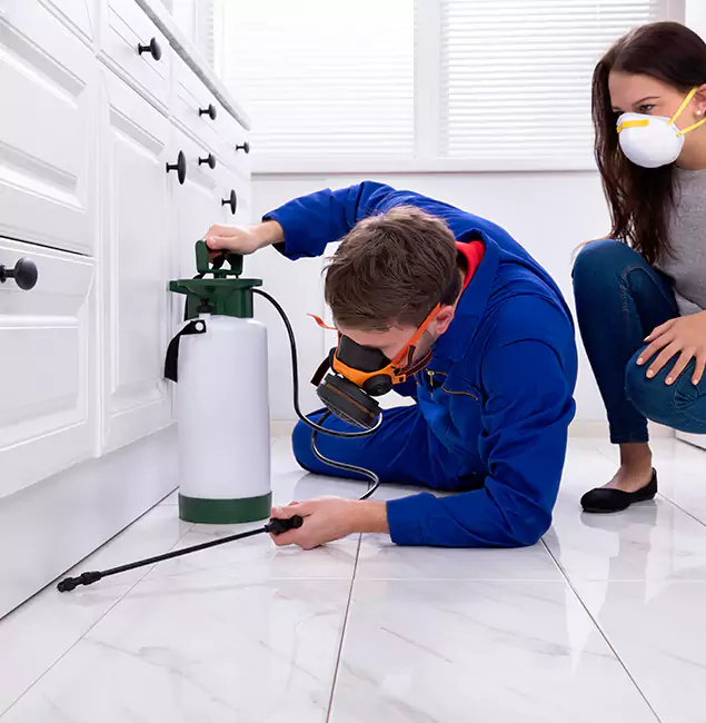 Why Choose Arlington Pest Control Pro in Arlington, VA?