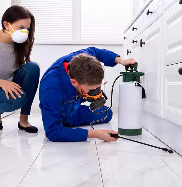 Why Arlington, VA Homeowners Trust Arlington Pest Control Pro for Roach Control?