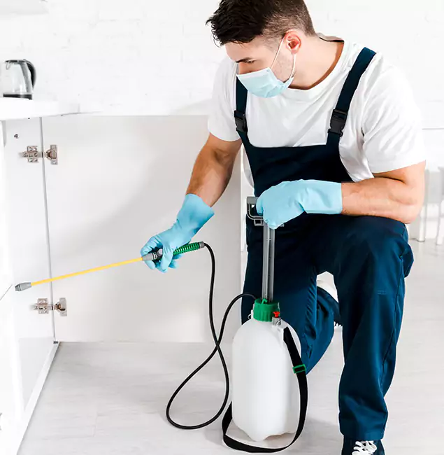 Why Choose Arlington Pest Control Pro for Indoor Pest Control in Arlington, VA?