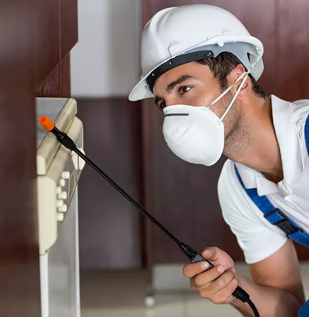 Why Arlington Homeowners Rely on Arlington Pest Control Pro for Tick Treatment?