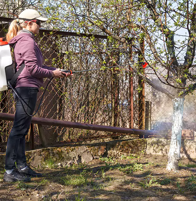 Why Arlington Homeowners Choose Arlington Pest Control Pro for Mosquito Abatement?