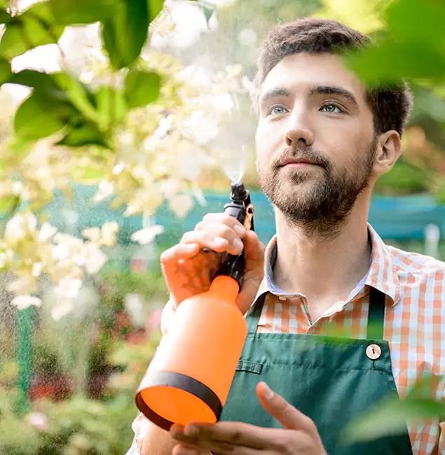 Why Arlington Pest Control Pro Is the Best Mosquito Control Company in Arlington, VA?